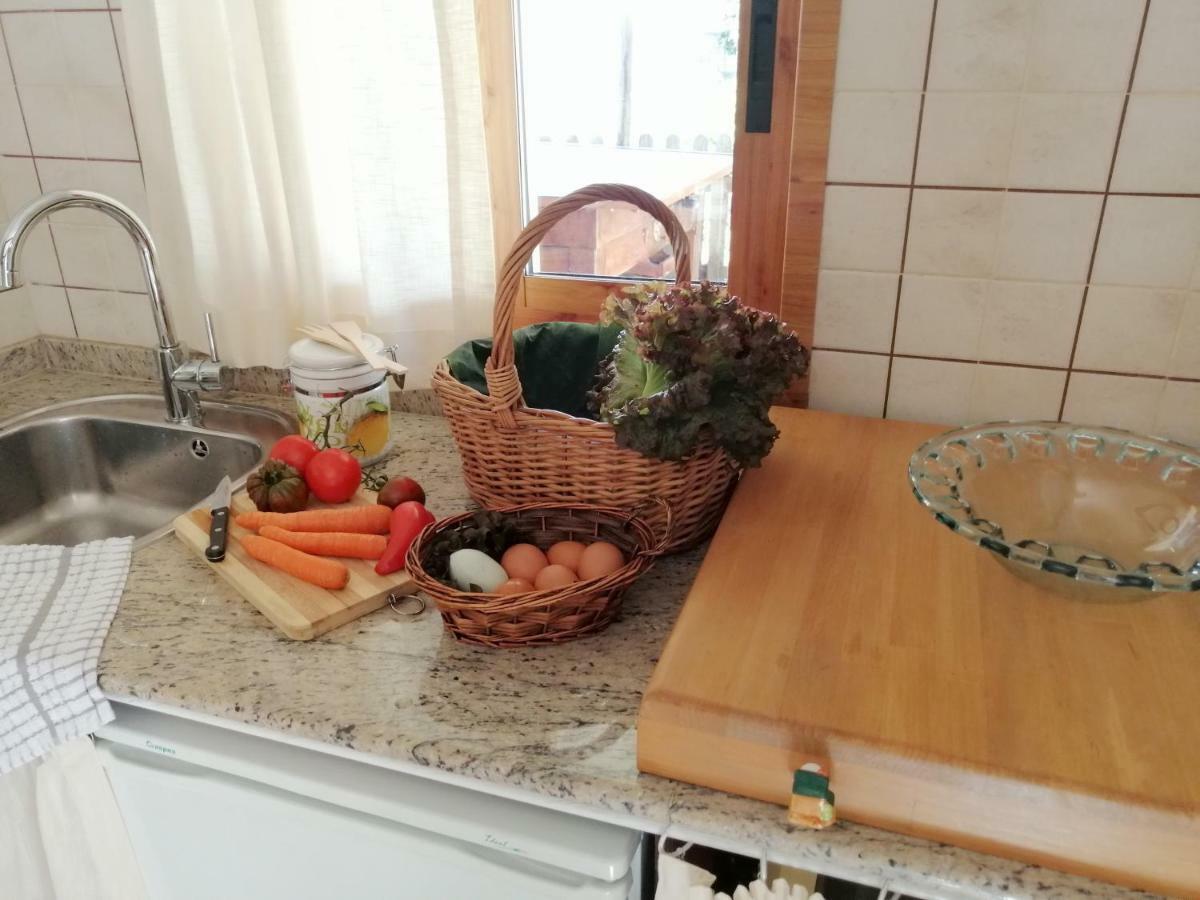 비고 Casita Nekagarden 빌라 외부 사진